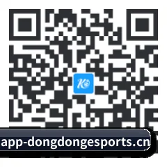 系统版 iOS 二维码